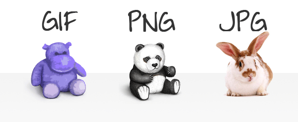 Image formats