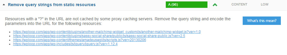 GTmetrix remove query strings from static resources