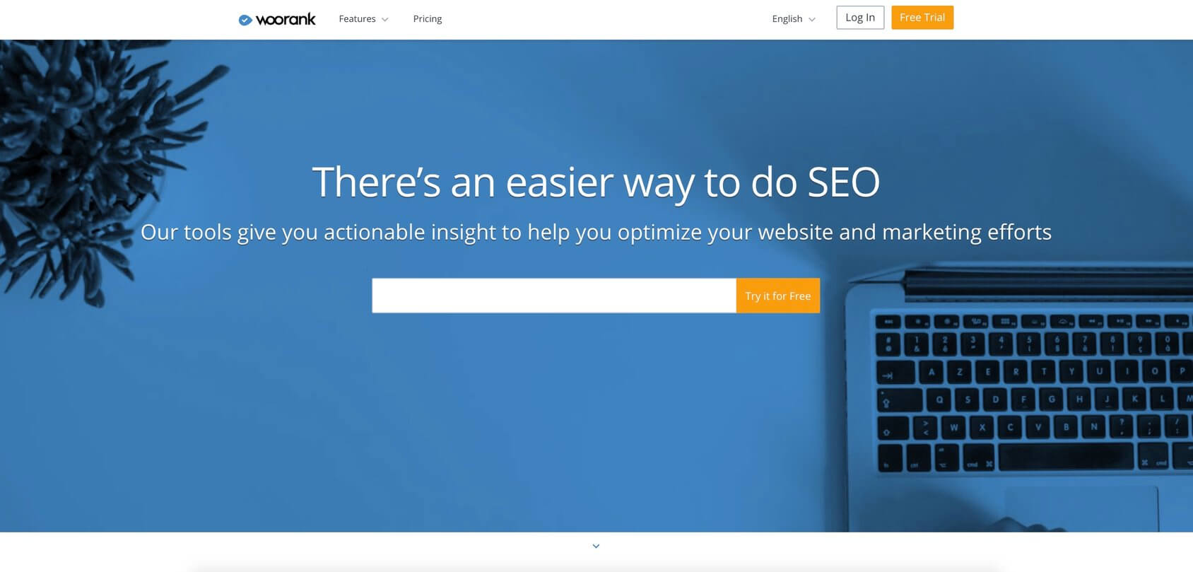 WooRank homepage